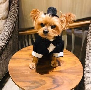 Meet your Posher, Luigi